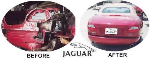 CLICK HERE TO VIEW JAGUAR SAMPLE PHOTOS